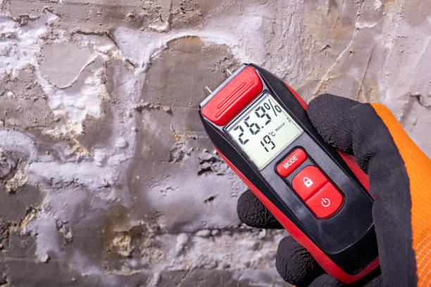 Best Commercial Mold Removal  in Stewart Manor, NY